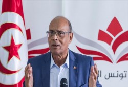 المرزوقي : الثورة في تونس اجهضت بشكل ناعم