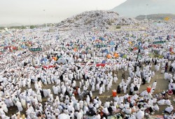 ارتفاع عدد حالات الوفيات بين صفوف الحجاج المصريين إلى 44 حالة