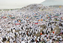 ارتفاع عدد حالات الوفيات بين صفوف الحجاج المصريين إلى 44 حالة