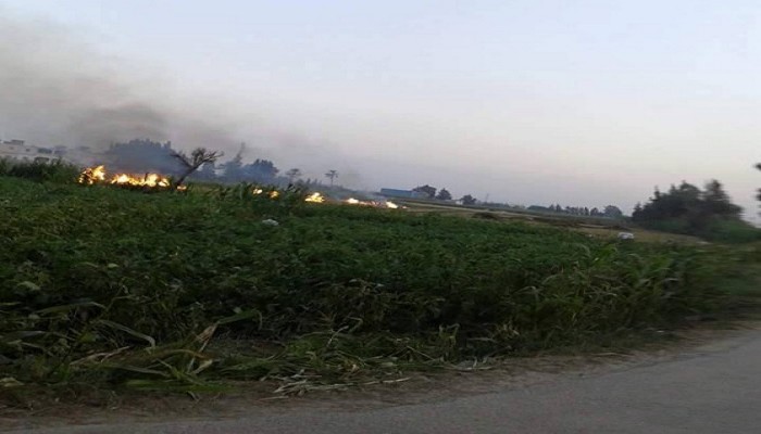 لغياب الرقابة .. السحابة السوداء تغطي سماء الدلنجات بالبحيرة بسبب قش الأرز