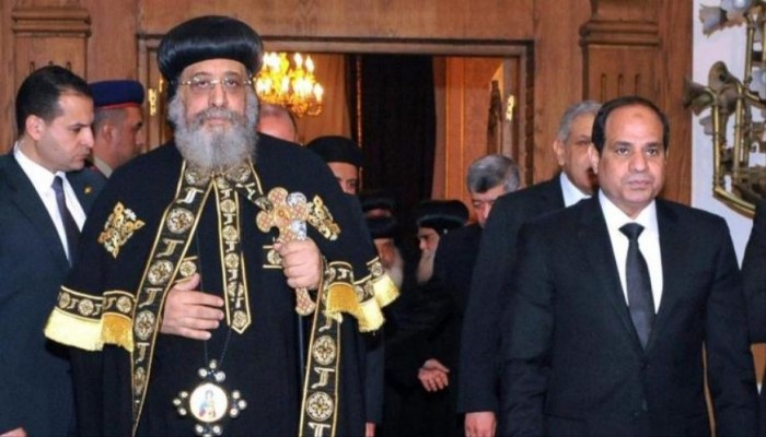 نيفين ملك : حشد المظاهرات لتأييد السيسي في أمريكا دلالة على فشل نظام الانقلاب