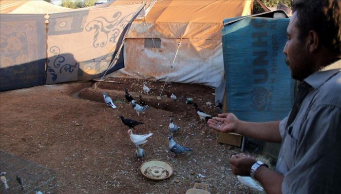 سوري يواجه انفجار القنابل بـ"زقزقة العصافير"