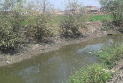 نقص مياه الري بإيتاي البارود يهدد الاراضى بالبوار