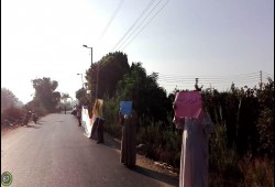 المنوفية : سلسلة بشرية بمدينة تلا رفضا للانقلاب