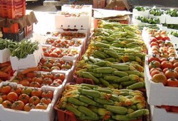 10 أزمات عصفت بالسيسي ونظامه في 2016 (إنفوجراف)