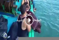 حادث رشيد .. الصيادين والأهالي ينتشلون الجثامين والجيش والشرطة في "عالم موازي"