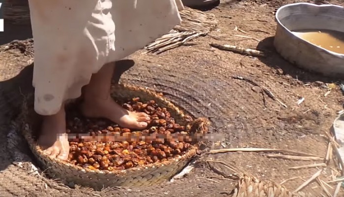 كارثة صحية جديدة تنكشف في مصر .. صناعة العجوة بـ" الأقدام" (فيديو)