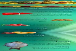 فواكه مصر وخضرواتها: دول تحظرها وأخرى تراقبها (إنفوغراف)