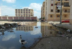 الأبعادية تغرق فى الصرف الصحى من جديد