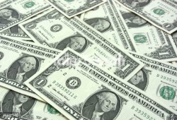 الدولار يسجل 13 جنيها فى السوق السوداء خلال التعاملات اليوم