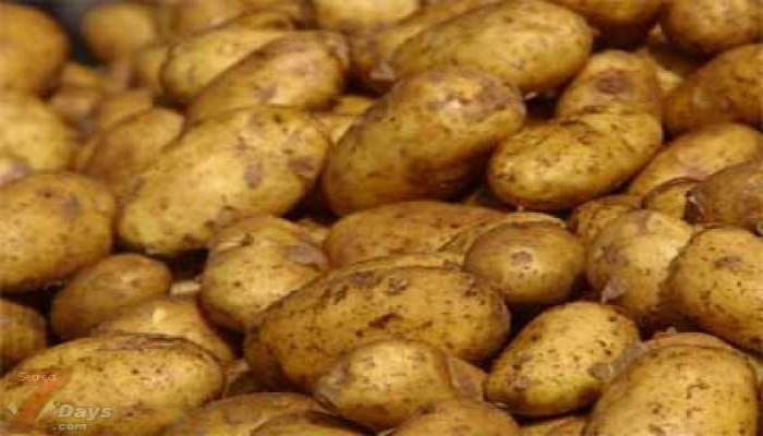 روسيا ترفض رفع الحظر عن "البطاطس المصرية"