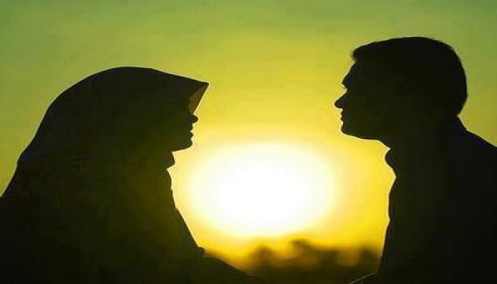 عبدالعزيز رجب : البيت المسلم السعيد