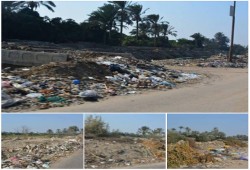 الحيوانات الميتة والمخلفات تفتك بصحة المواطنين في القرين بالشرقية