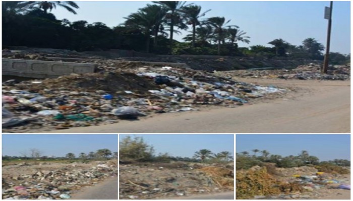 الحيوانات الميتة والمخلفات تفتك بصحة المواطنين في القرين بالشرقية