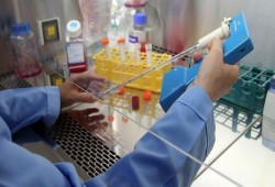 عقار لسرطان الكلي قد يعالج أنواعاً أخرى من الأورام الخبيثة (دراسة)