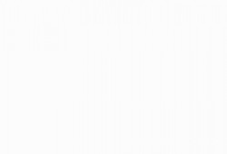 حملة اعتقالات مسعورة في عدة محافظات