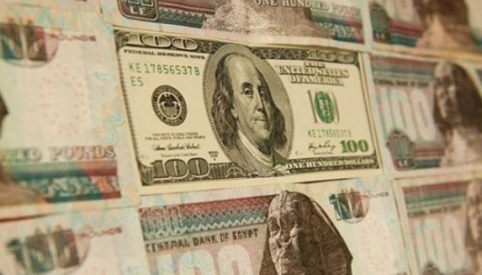 الدولار يصل الى 14.10 جنيه مصري في السوق السوداء