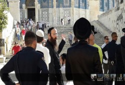 مستوطنون يقتحمون المسجد الأقصى