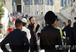 مستوطنون يقتحمون المسجد الأقصى