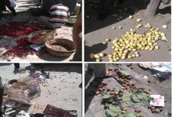 أمن الانقلاب يدهس الخضروات والفاكهة في حملة إزالة بالاسكندرية