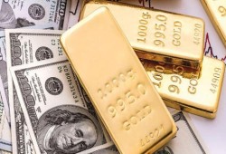 الدولار يواصل تجاوز الـ14 جنيه والذهب يواصل تخطي 500 جنيه