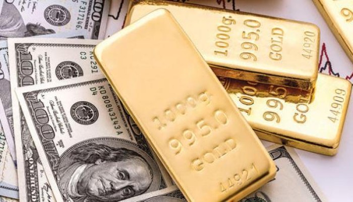 الدولار يواصل تجاوز الـ14 جنيه والذهب يواصل تخطي 500 جنيه