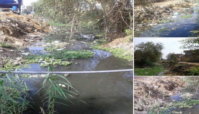 الأوبئة تسبح في مصرف "حنانة" بالحسينية بالشرقية وتهدد حياة المواطنين