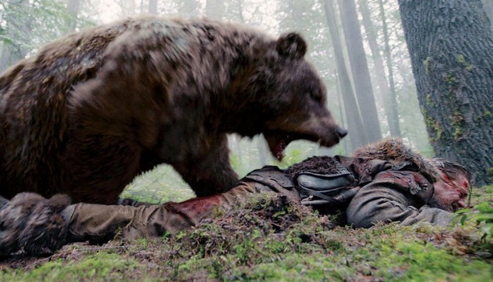 فيديو هجوم الدببة يحصد 33 مليونا مشاهدة بينهم مؤسس فيسبوك