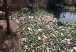 في الشرقية .. مياه الشرب "قاتلة"