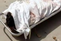 تفحم سيارة محملة بالسولار بالفيوم.. ومصرع قائدها