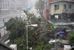 ارتفاع عدد ضحايا إعصار "ماثيو" إلى 850 شخصًا