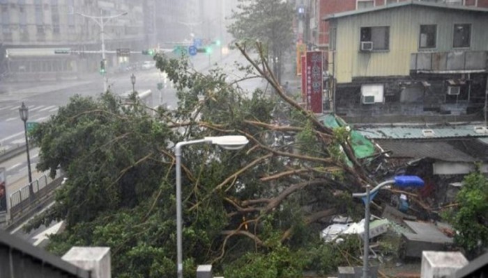 ارتفاع عدد ضحايا إعصار "ماثيو" إلى 850 شخصًا