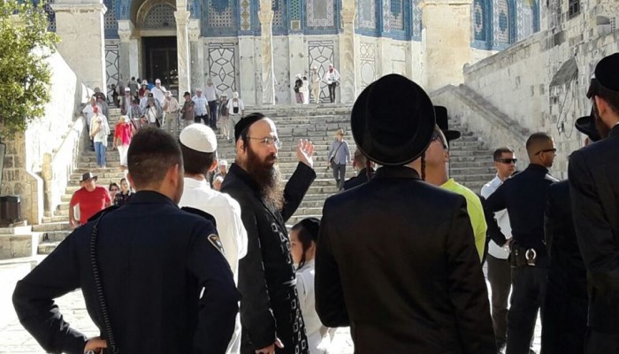 272 صهيونيا يقتحمون الأقصى خلال يومين