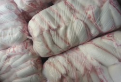 الفشل يلاحق الانقلاب: ارتفاع عجز السكر لـ70% وأزمة قادمة بأرز التموين