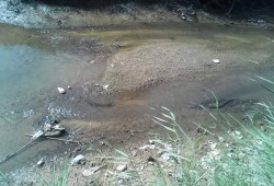 الجفاف يضرب ثانى أكبر ترع رى حوش عيسى بالبحيرة