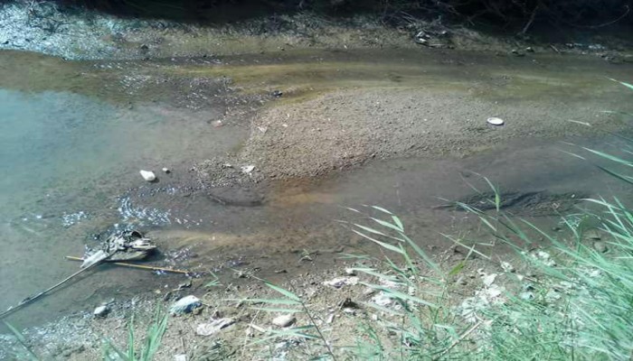 البحيرة : الجفاف يضرب ثانى أكبر ترع رى حوش عيسى