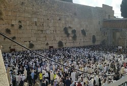 تزامنا مع قرار اليونسكو: عشرات الآلاف من اليهود يقتحمون المسجد الأقصى