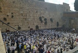تزامنا مع قرار اليونسكو: عشرات الآلاف من اليهود يقتحمون المسجد الأقصى