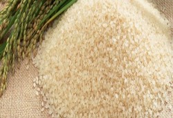 بـ 50% عجزًا .. الأرز يلحق بقطار الأزمات