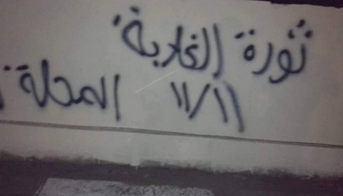 "شباب ضد الانقلاب" بالمحلة الكبري تدشن حملة جداريات تدعو لثورة الغلابة