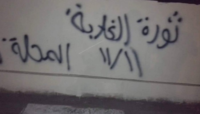 "شباب ضد الانقلاب" بالمحلة الكبري تدشن حملة جداريات تدعو لثورة الغلابة