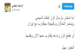 كاتب سعودي: سنندم على دعم نظام السيسي بـ"الرز"