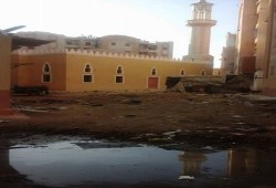 سكان الأبعادية يستغيثون من تراكم مياه الصرف وانتشار اصطبلات الخيول