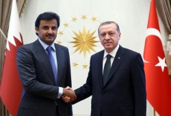 أمير قطر في إسطنبول لبحث تطورات المنطقة مع أردوغان