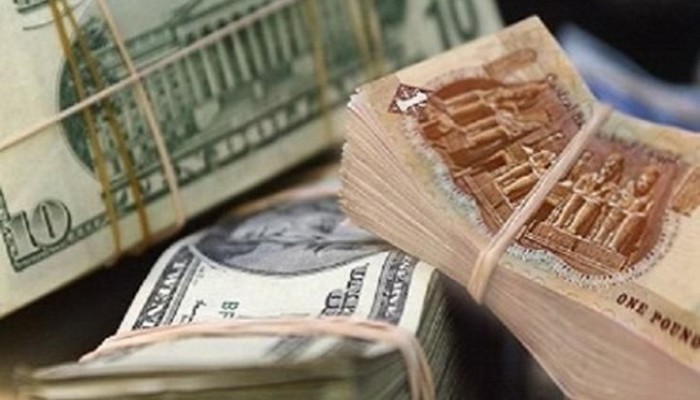 خليجيون عن إنهيار الجنيه: هذه ضريبة الثورة المضادة.. ورضاكم بالأحمق المنقلب