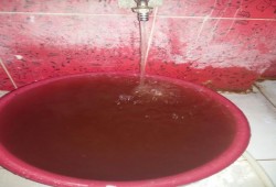 أهالي قرية بالشرقية يقاطعون مياه الشرب بعد إختلاطها بالمجاري