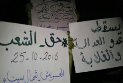 فعالية ثانية لثوار أرض الفيروز ضمن فعاليات أسبوع "حق الشعب"