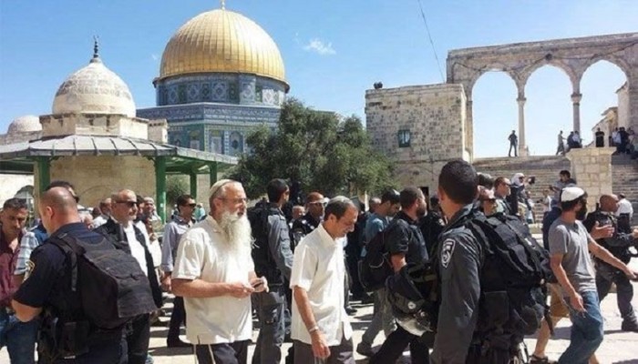 صحيفة صهيونية: أكثر من 3000 يهودى اقتحموا الأقصى خلال شهر أكتوبر