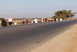 ثوار البحيرة ينتفضون من النوبارية فى أولى مظاهراتهم فى جمعة "العيشة مرار"