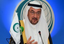 أمين عام "المؤتمر الإسلامي" يسخر بشدة من السيسي في كلمة رسمية (فيديو)